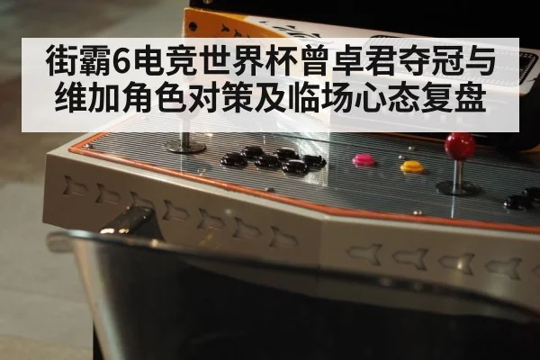 fighting game arcade controller closeup